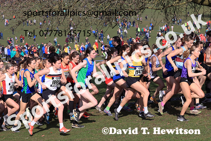 Senior womens 2025 UK CAU Inter Counties Cross Country Champs., Wollaton Park, Nottingham. Photo: David T. Hewitson/Sports for All Pics